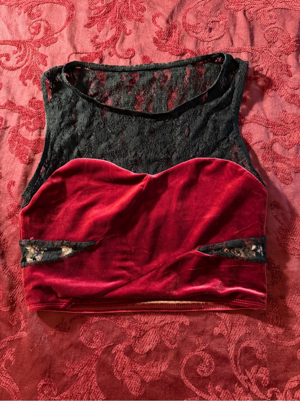 Balera cropped velvet and lace top